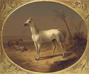 Theodor Horschelt A Grey Arabian Horse